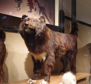 f0238772_20123221.jpg