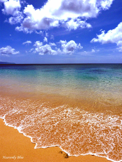 a0073675_16281624.jpg
