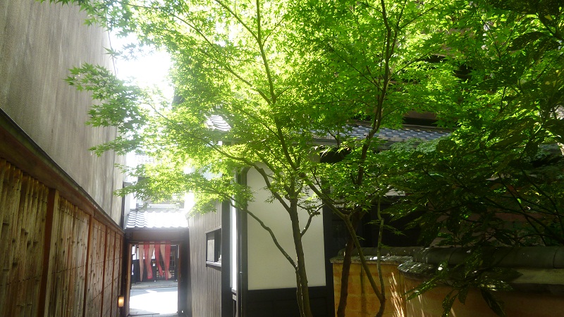 初めてのお使い、京都2日目_d0230676_9355672.jpg