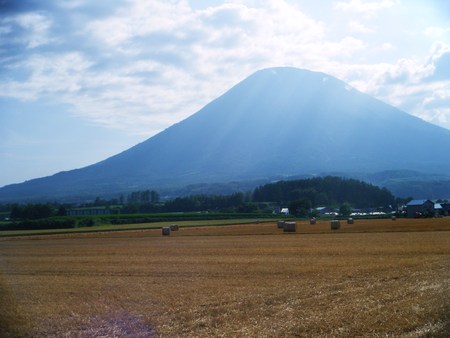 d0170077_0512136.jpg