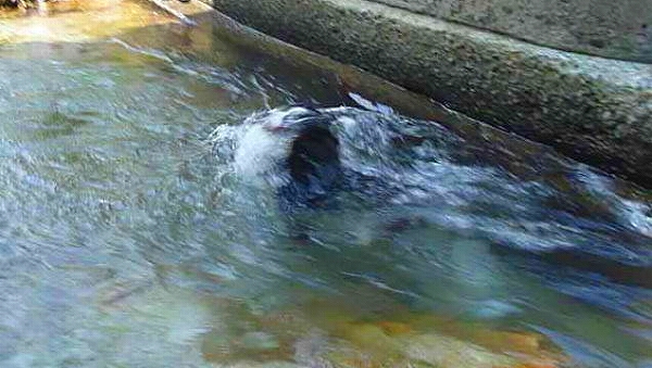 c0149178_16291215.jpg