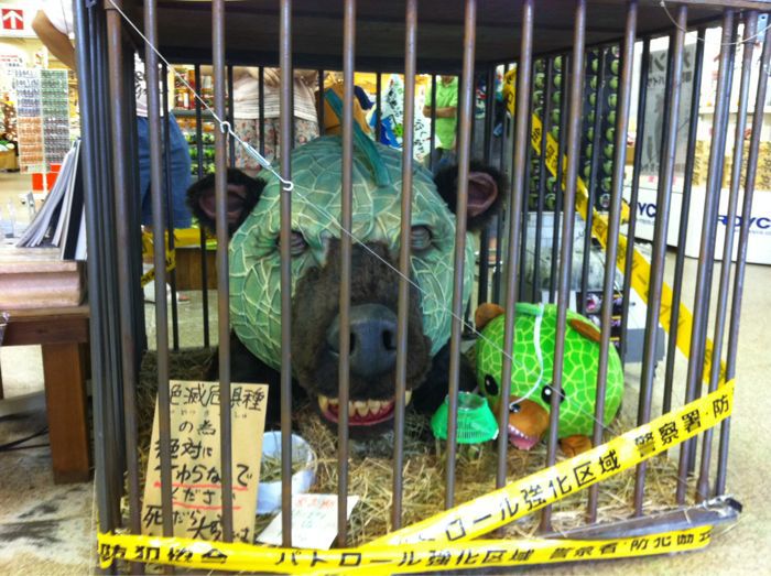 Summer vacation_d0212480_17261397.jpg