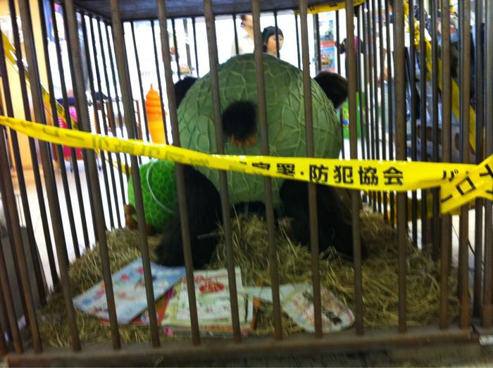 Summer vacation_d0212480_17261758.jpg