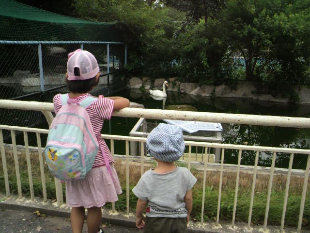 天王寺動物園にGO, GOGOGO!!!_d0171082_20455541.jpg