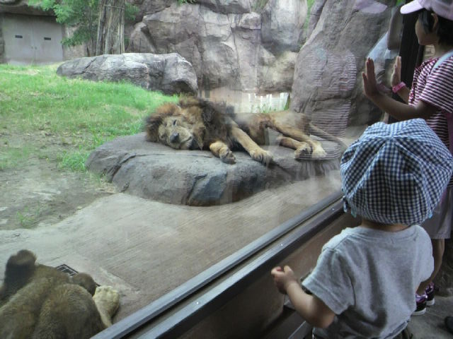 天王寺動物園にGO, GOGOGO!!!_d0171082_20464253.jpg