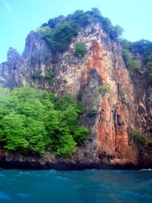 バイキングケーブル_f0144385_235373.jpg