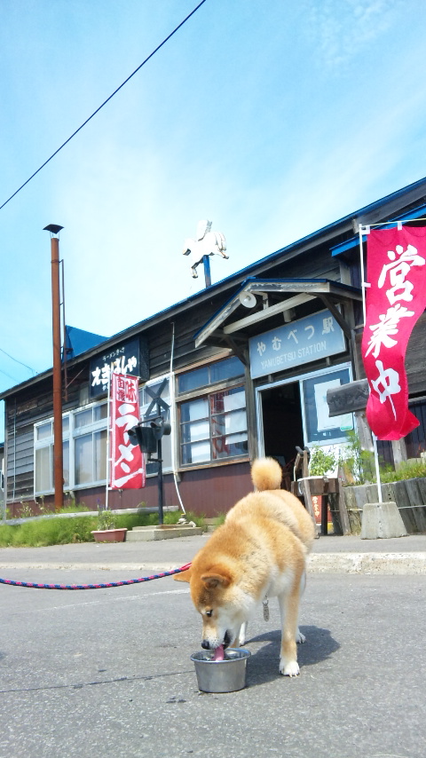 止別駅_a0126590_1205639.jpg
