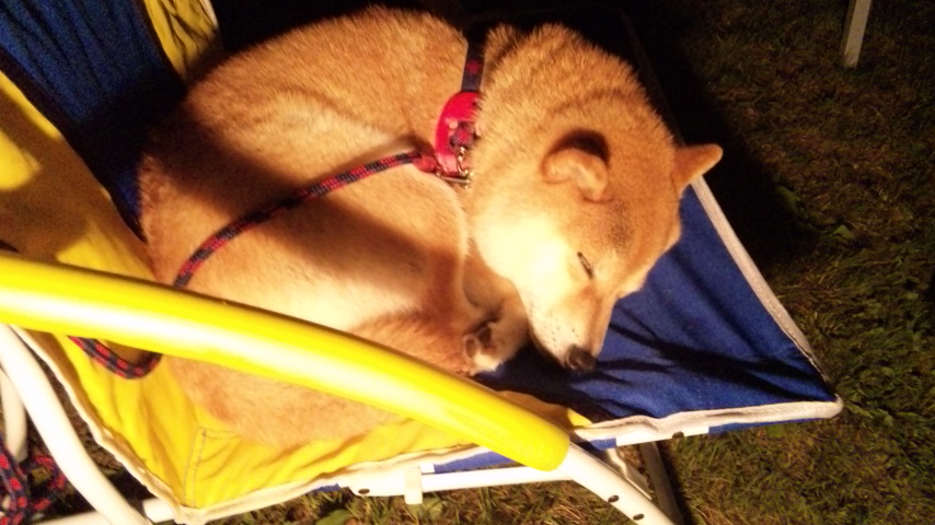 最後の夜_a0126590_20514253.jpg