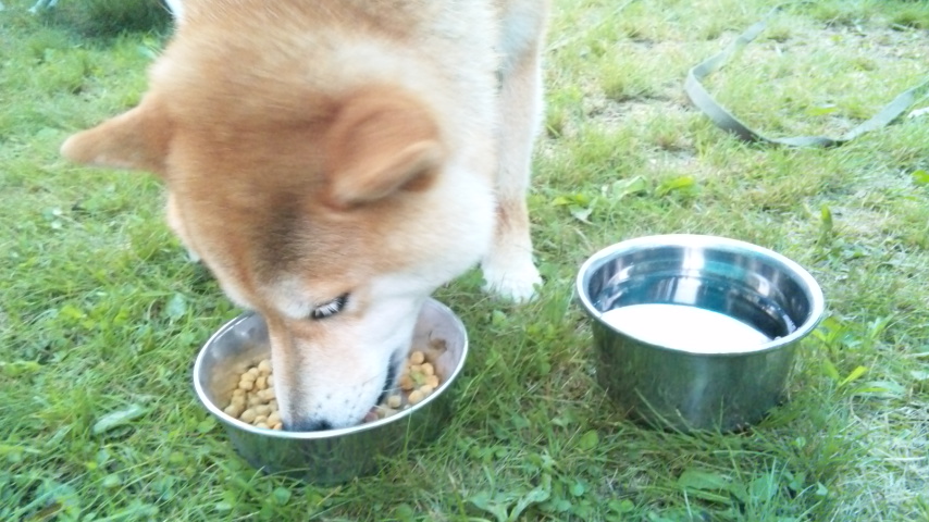 朝ごはん_a0126590_6133424.jpg
