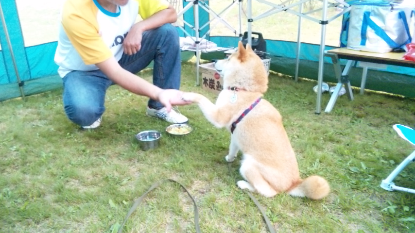 朝ごはん_a0126590_6133453.jpg