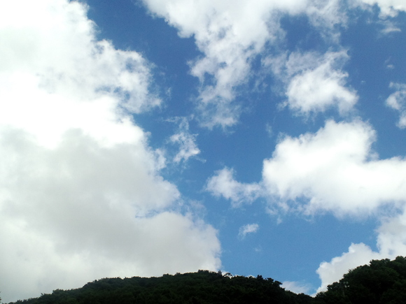 d0135694_2291837.jpg