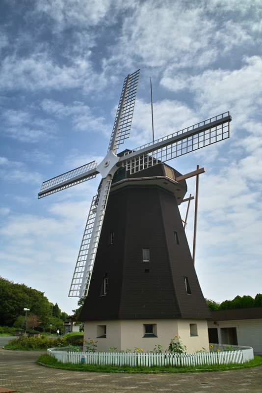 b0138101_7422078.jpg
