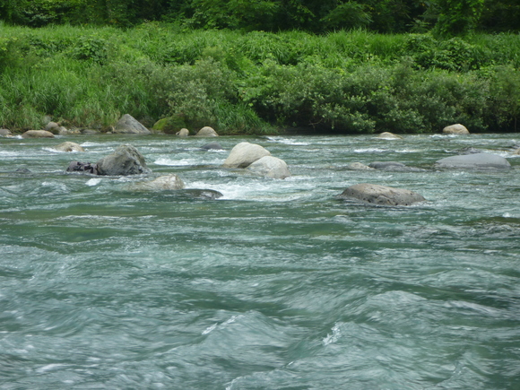 b0229003_1793677.jpg