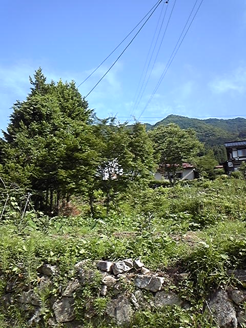 戻りました_c0151303_19241021.jpg