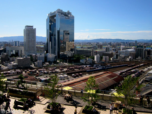 a0154706_8362789.jpg