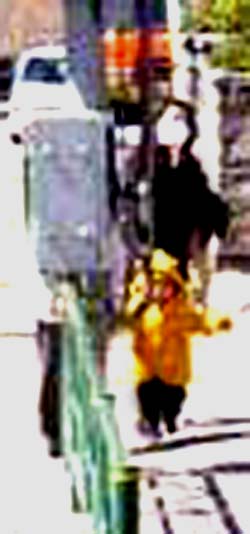 e0103408_14202297.jpg