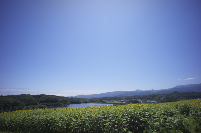 d0143011_2120297.jpg