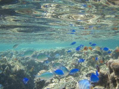 海に架かる虹_a0167912_14295521.jpg