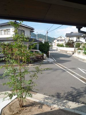 今週は、、、_b0131012_155530.jpg