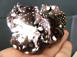 e0036717_22505599.jpg