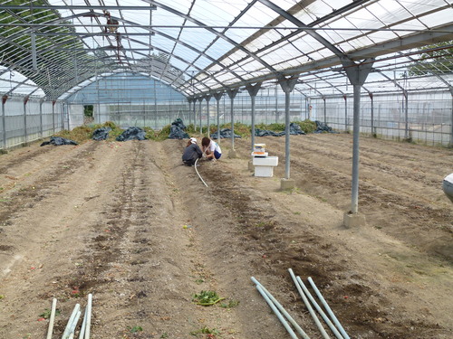 f0142721_2311579.jpg