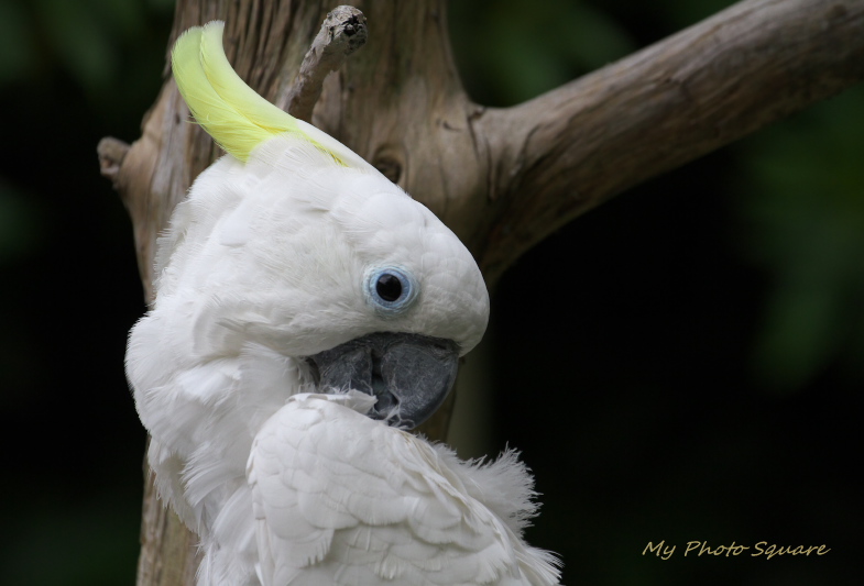 動物園_c0167028_21133396.jpg