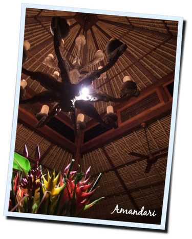「バリ島2011　アマンダリのディナー、ラウンジの夜カフェ」_a0000029_804366.jpg