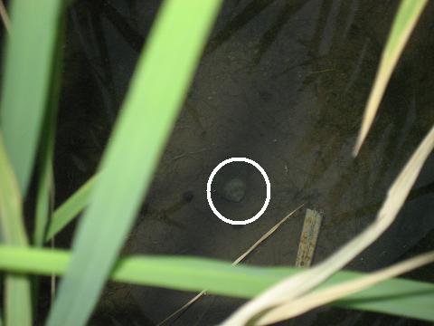 c0081032_22205643.jpg