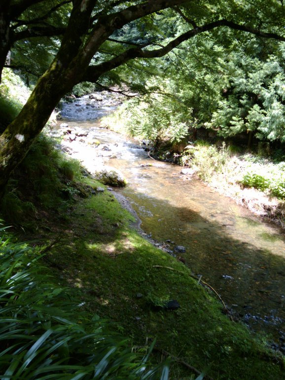 d0107133_13102741.jpg