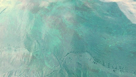 d0235336_111489.jpg