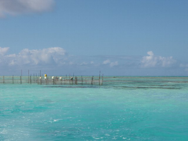 ツアモツ、トアウ環礁からタヒチプナアウイア、タイナマリーナへ 8月4日 ハーモニー通信