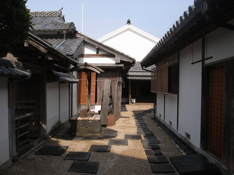 萩_a0223842_1144163.jpg