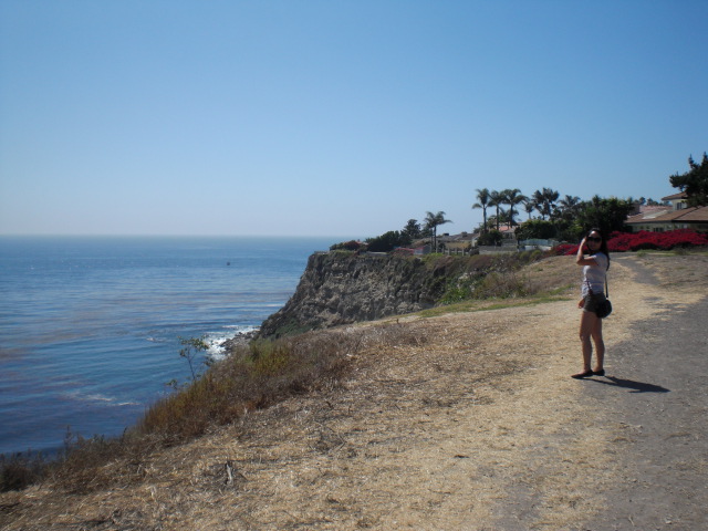 c0157348_11482377.jpg