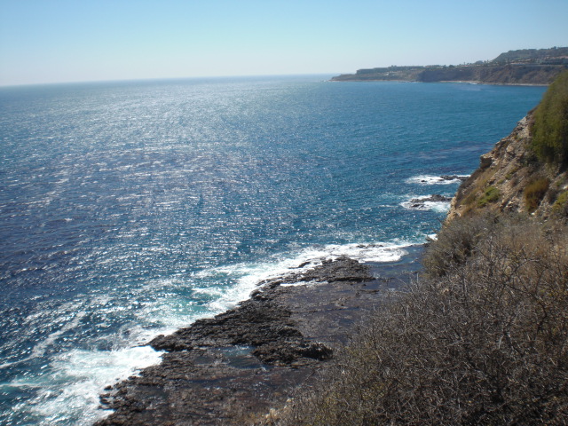 c0157348_11492386.jpg