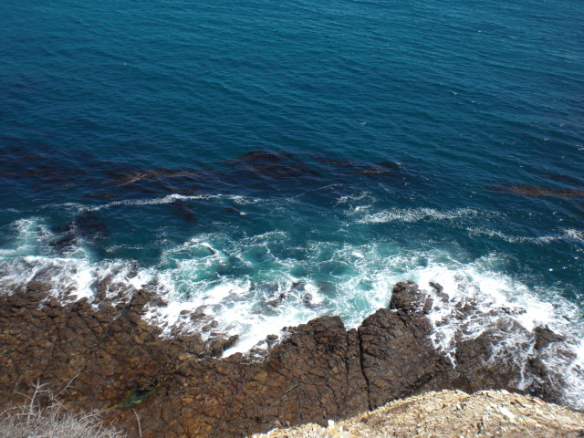 c0157348_1149673.jpg