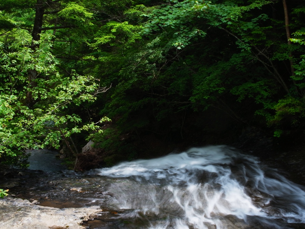 waterfall(乗鞍・善五郎の滝）_e0223456_85753.jpg