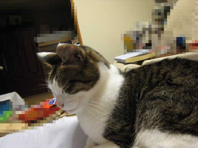 f0135859_2310541.jpg