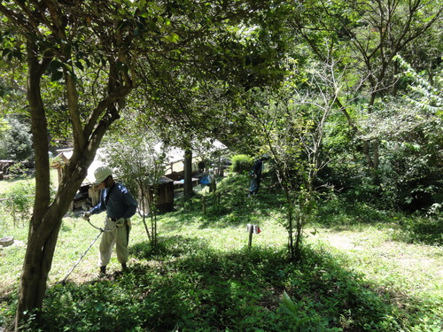 c0108460_1873414.jpg