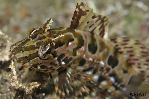 e0158261_2361330.jpg