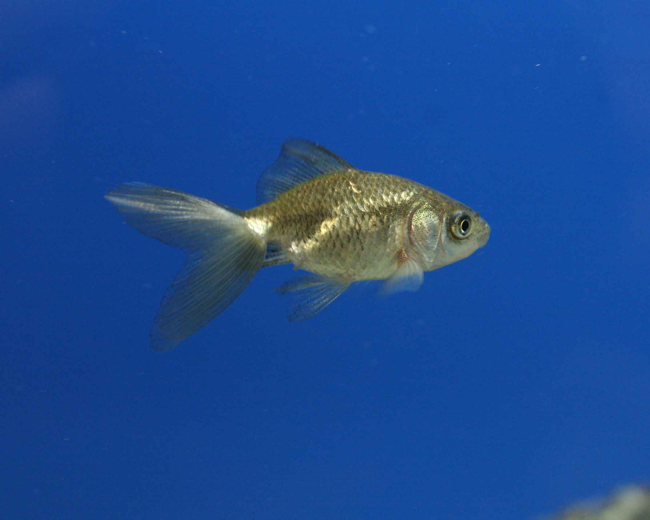 a0162263_20484959.jpg