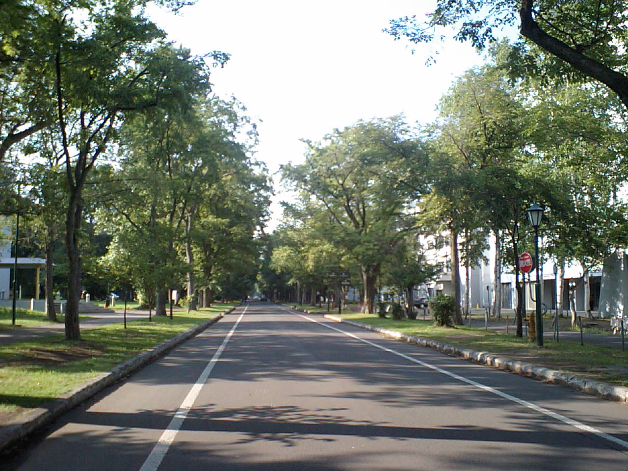 d0098665_17214528.jpg