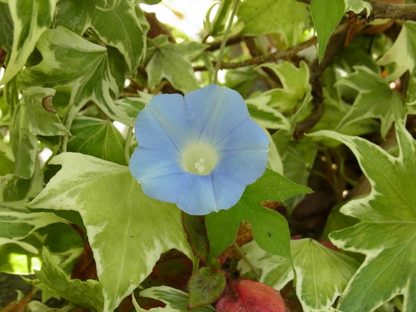 b0194267_219634.jpg