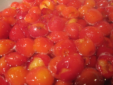 sour cherry_b0183670_2123756.jpg