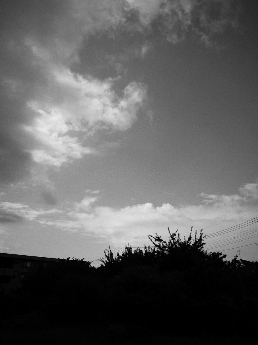 f0121181_1274666.jpg
