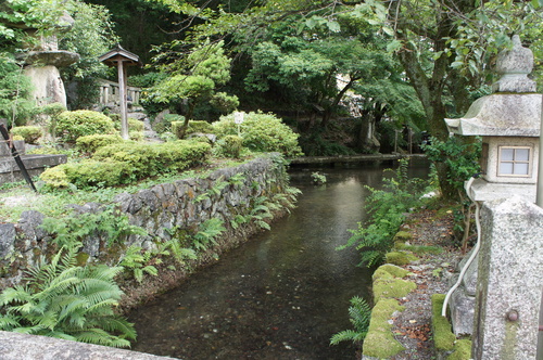 7/25　箱館山ユリ園＆彦根城ー日帰りバス旅行_f0050688_23323125.jpg