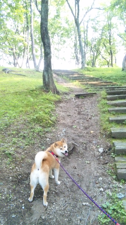 緑ヶ丘公園_a0126590_16355449.jpg