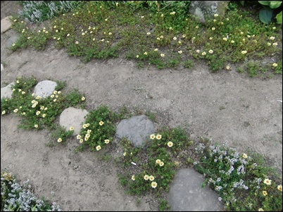 f0215591_9281842.jpg