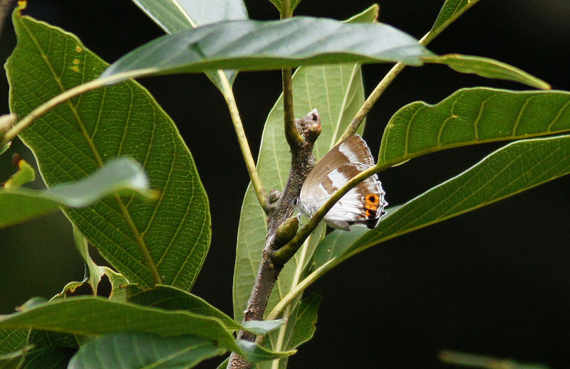b0078795_21321559.jpg