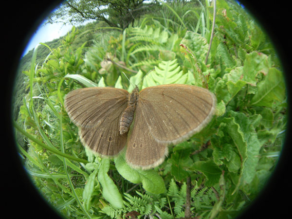 c0049095_12265655.jpg
