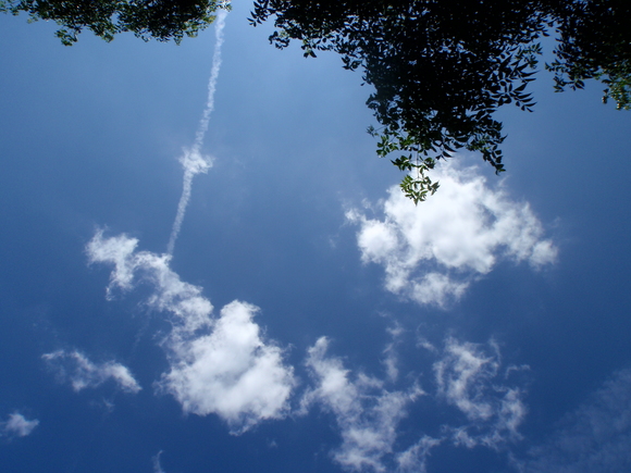f0213796_0134579.jpg